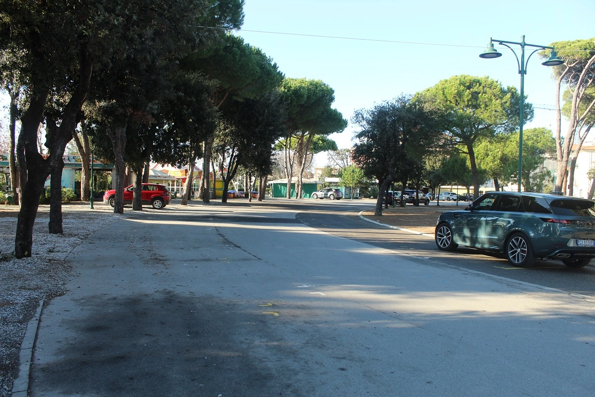 Viale alberato con pini marittimi e parcheggi a Forte dei Marmi