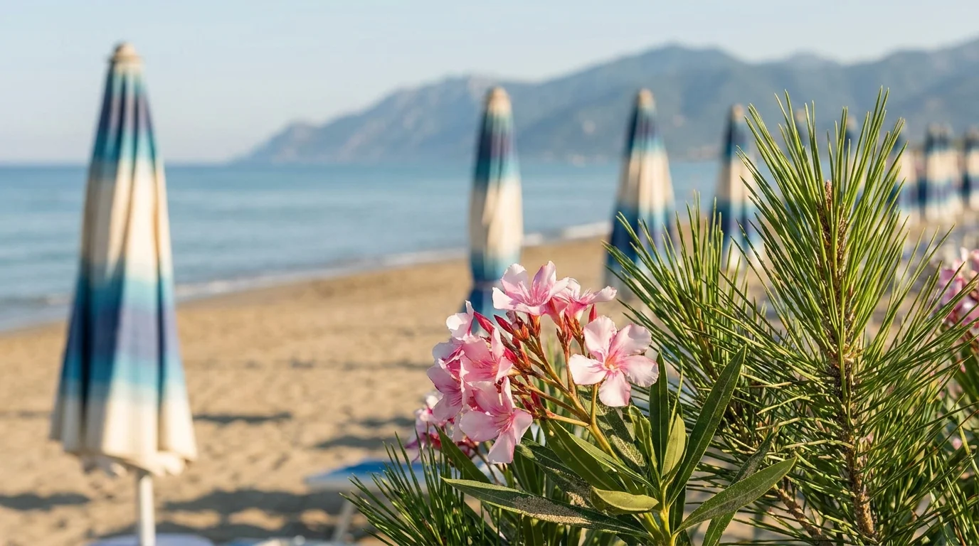 Oleandri e pini affacciati sulla spiaggia estiva